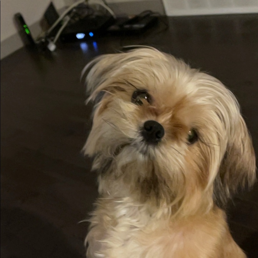 Meet your Posher, Apryl